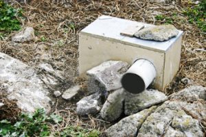 Nest Boxes for the Cassin's Auklets on the Farallon Islands