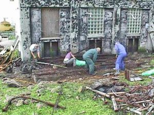Volunteers at work at cleanup on Farallon Islands (2000)