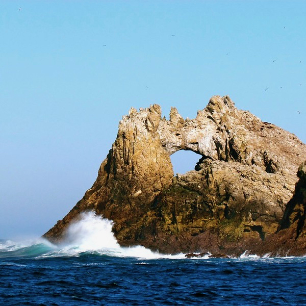 Wave breaking on the coast of one of the Farallon Islands